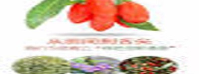 枸杞之旅：探寻神奇的红色果实，品味生活的甜美与健康