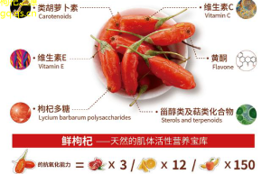 枸杞新研究了解其抗氧化和免疫增強作用